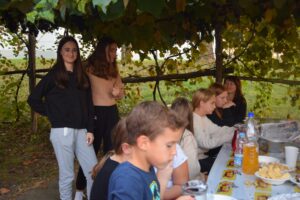 Tradicionalni Kostanjev Piknik